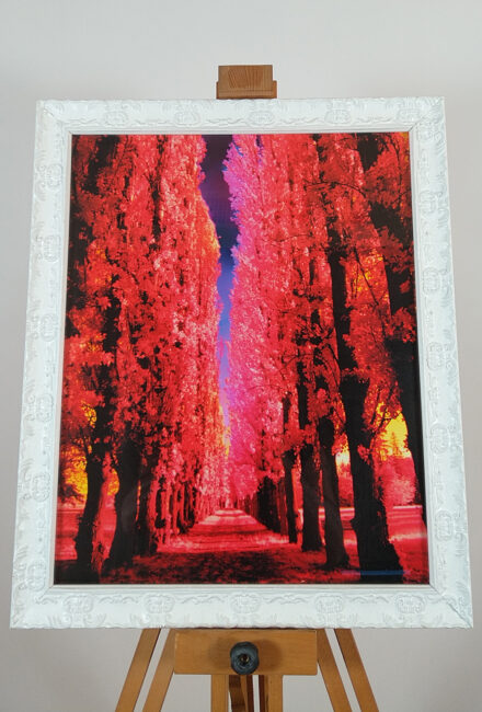 Oniric Landscape #1 - 70x100